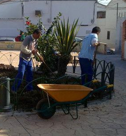 Jardinería